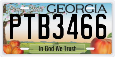 GA license plate PTB3466