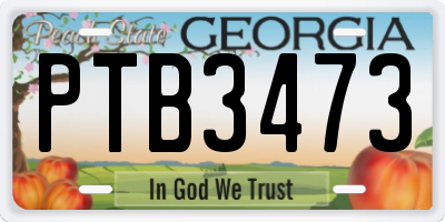 GA license plate PTB3473