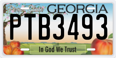 GA license plate PTB3493
