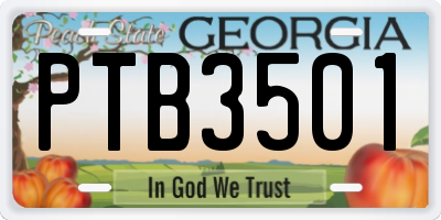 GA license plate PTB3501