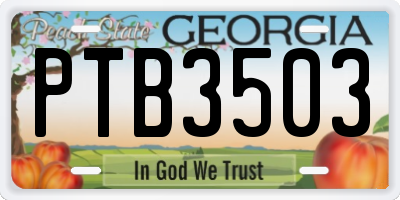 GA license plate PTB3503