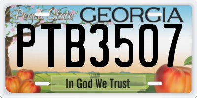 GA license plate PTB3507