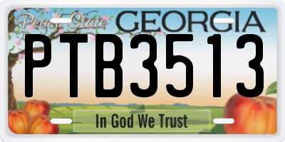 GA license plate PTB3513