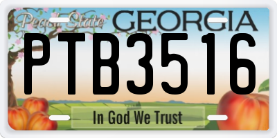 GA license plate PTB3516