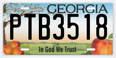 GA license plate PTB3518
