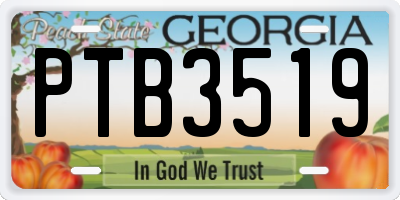 GA license plate PTB3519