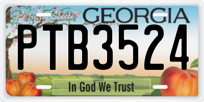 GA license plate PTB3524
