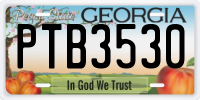 GA license plate PTB3530