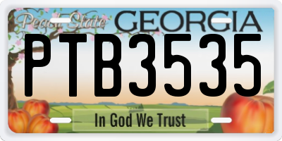 GA license plate PTB3535