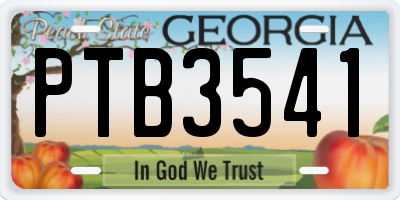 GA license plate PTB3541