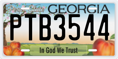 GA license plate PTB3544