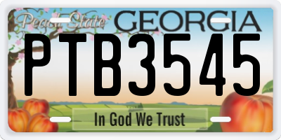 GA license plate PTB3545