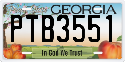 GA license plate PTB3551