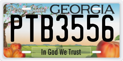 GA license plate PTB3556