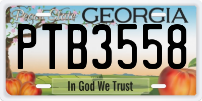 GA license plate PTB3558