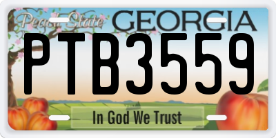 GA license plate PTB3559