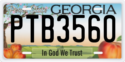GA license plate PTB3560