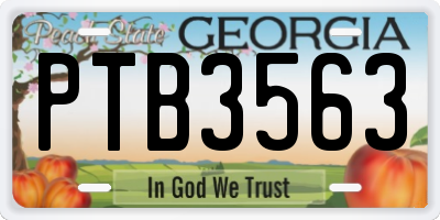 GA license plate PTB3563
