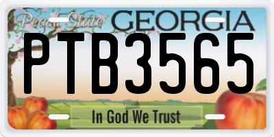 GA license plate PTB3565