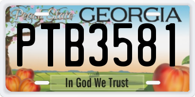 GA license plate PTB3581