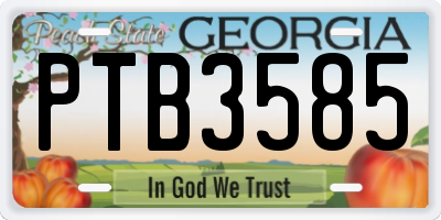 GA license plate PTB3585