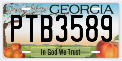 GA license plate PTB3589