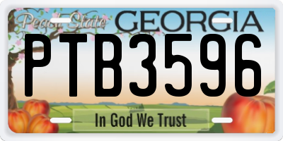 GA license plate PTB3596