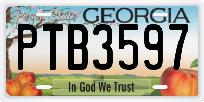GA license plate PTB3597