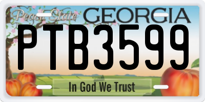 GA license plate PTB3599