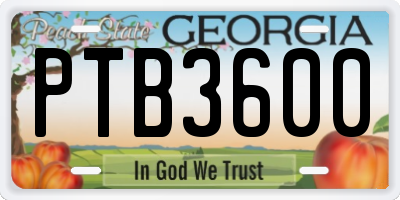 GA license plate PTB3600