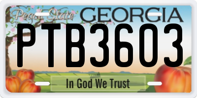 GA license plate PTB3603