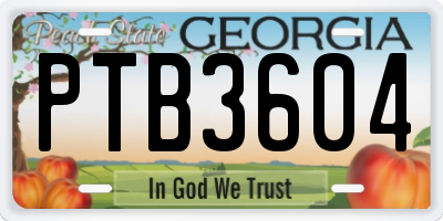 GA license plate PTB3604