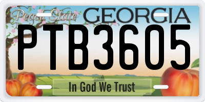 GA license plate PTB3605