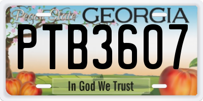 GA license plate PTB3607