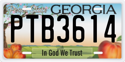 GA license plate PTB3614