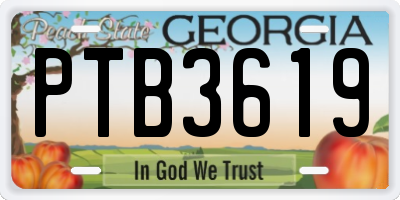 GA license plate PTB3619