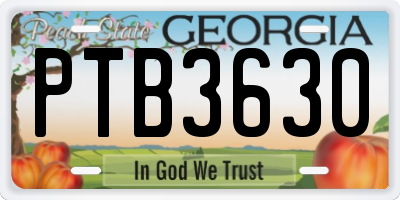 GA license plate PTB3630