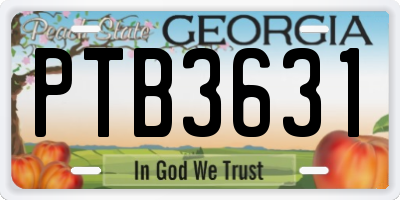 GA license plate PTB3631