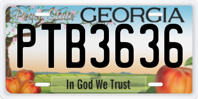 GA license plate PTB3636