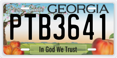 GA license plate PTB3641