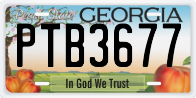 GA license plate PTB3677