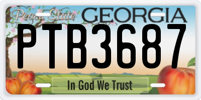 GA license plate PTB3687