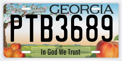 GA license plate PTB3689