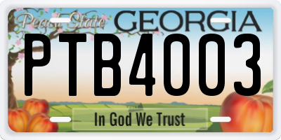GA license plate PTB4003