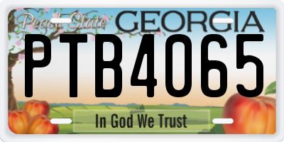 GA license plate PTB4065
