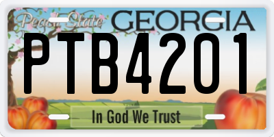 GA license plate PTB4201