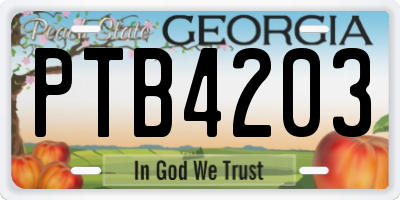 GA license plate PTB4203