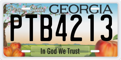 GA license plate PTB4213