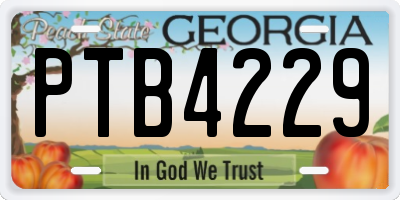 GA license plate PTB4229