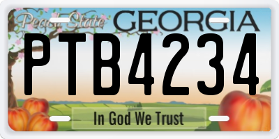 GA license plate PTB4234